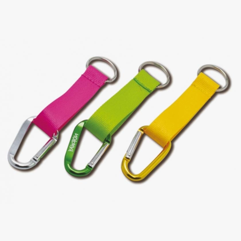 Carabiner with Lanyard
